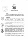Vista preliminar de documento Resolución Directoral