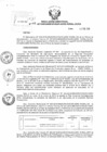 Vista preliminar de documento Resolución Directoral