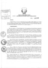 Vista preliminar de documento Resolución Directoral