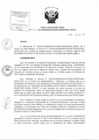 Vista preliminar de documento Resolución Directoral