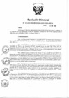 Vista preliminar de documento Resolución Directoral