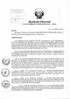 Vista preliminar de documento Resolución Directoral