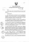 Vista preliminar de documento Resolución Directoral