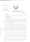 Vista preliminar de documento Resolución Directoral