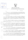 Vista preliminar de documento Resolución Directoral