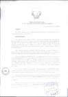 Vista preliminar de documento Resolución Directoral