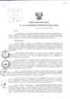 Vista preliminar de documento Resolución Directoral
