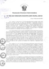 Vista preliminar de documento Resolución Directoral