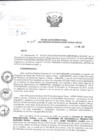 Vista preliminar de documento Resolución Directoral