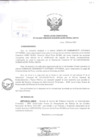 Vista preliminar de documento Resolución Directoral