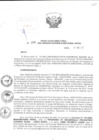 Vista preliminar de documento Resolución Directoral