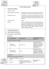 Vista preliminar de documento Ficha de Homologación 8