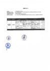 Vista preliminar de documento ANEXO N°2