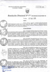Vista preliminar de documento RD275-minagri-dvdiar-pebpt.de.pdf