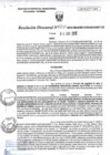 Vista preliminar de documento RD271-minagri-dvdiar-pebpt.de.pdf