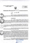 Vista preliminar de documento RD263-minagri-dvdiar-pebpt.de.pdf