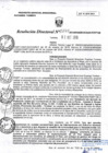 Vista preliminar de documento RD245-minagri-dvdiar-pebpt.de.pdf