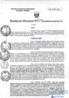 Vista preliminar de documento RD243-minagri-dvdiar-pebpt.de.pdf