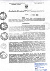Vista preliminar de documento RD207-minagri-dvdiar-pebpt.de.pdf