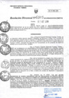 Vista preliminar de documento RD205-minagri-dvdiar-pebpt.de.pdf