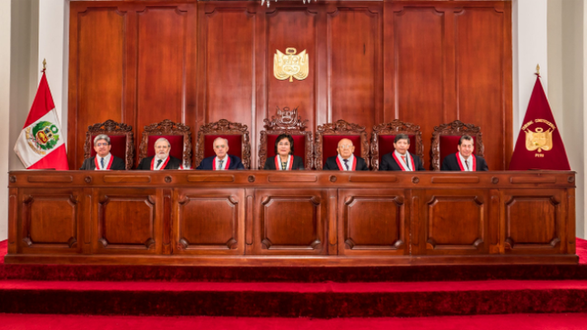 Pleno del Tribunal Constitucional.