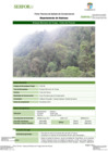 Vista preliminar de documento FT-HCO-08_Bosque_Montano_de_Yunga_-_Codo_del_Pozuzo
