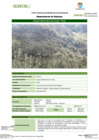 Vista preliminar de documento FT-HCO-01_Bosque_Altimontano_de_Yunga_-_Pillao