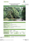 Vista preliminar de documento FT-HCO-06_Bosque_Basimontano_de_Yunga_-_Pintoyacu