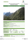 Vista preliminar de documento FT-HCO-07_Bosque_Altimontano_de_Yunga_-_Milpo_Playa_Pampa