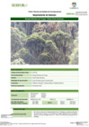 Vista preliminar de documento FT-HCO-09_Bosque_Montano_de_Yunga_-_Santa_Clara_Osomayo
