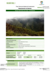 Vista preliminar de documento FT-HCO-11_Bosque_Altimontano_de_Yunga_-_Chontabamba