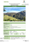 Vista preliminar de documento FT-HCO-14_Jalca_-_Jiullauya