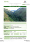 Vista preliminar de documento FT-HCO-15_Bosque_Altimontano_de_Yunga_-_Pampayacu