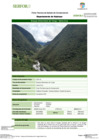Vista preliminar de documento FT-HCO-10_Bosque_Altimontano_de_Yunga_-_Santa_Cruz