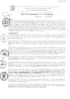 Vista preliminar de documento res_074-2020