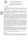 Vista preliminar de documento res_080_2020