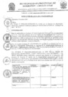 Vista preliminar de documento res_84_2020