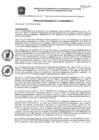 Vista preliminar de documento res_110_2020