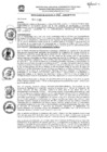 Vista preliminar de documento res_132_2020