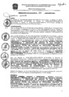 Vista preliminar de documento res_179_2020