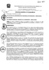 Vista preliminar de documento ordenanza_municipal_008_2020_mpm_ch