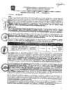 Vista preliminar de documento res_197_2020