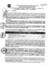 Vista preliminar de documento res_196_2020
