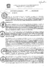 Vista preliminar de documento res_203_2020
