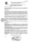 Vista preliminar de documento res_202_2020