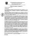 Vista preliminar de documento res_213_2020