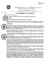 Vista preliminar de documento ordenanza_12_2020