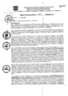 Vista preliminar de documento res_274_2020