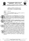 Vista preliminar de documento resolucion_246-26052020145302