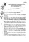 Vista preliminar de documento ordenanza_14_2020